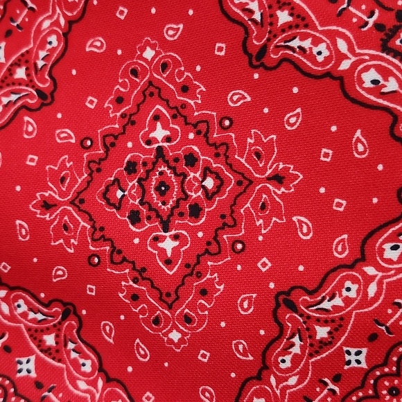 EUC Carolina Blues Skort Set - Picture 12 of 16